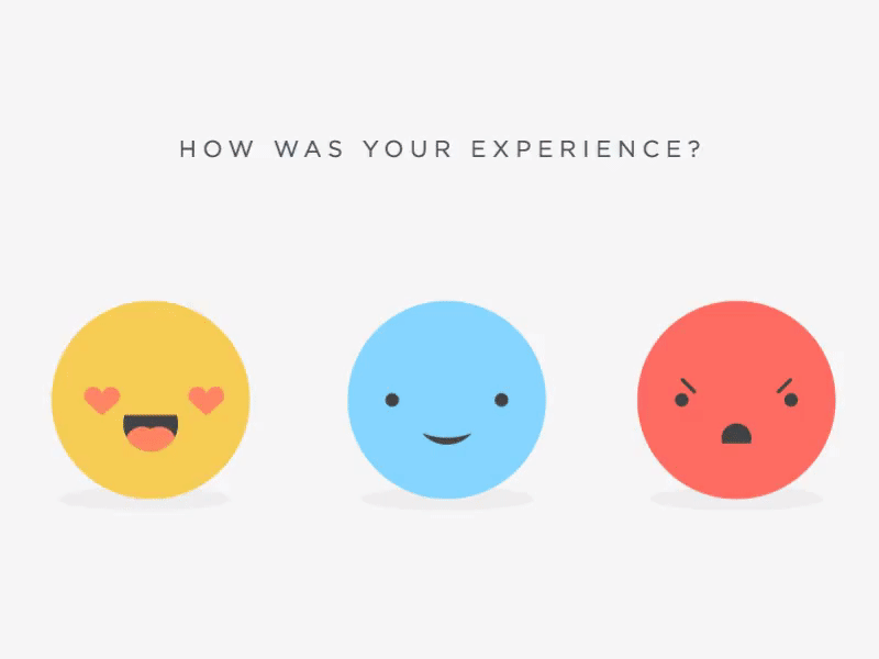 Customer Experience in Object Design